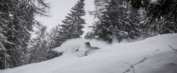 131129 Mario Gattinger by Artisual-Moser Peter-2 2