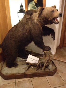 141223 IMG-20141223-WA0000