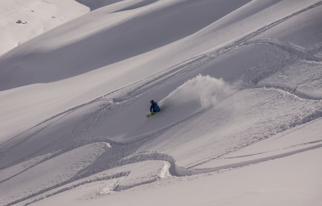 150317 RNF PRESSE Powder by Heli Düringer