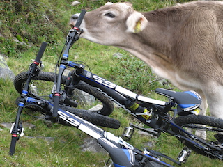 150906 IMG 0435 Kopie