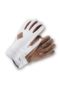 151112 InnsbruckTWZanier