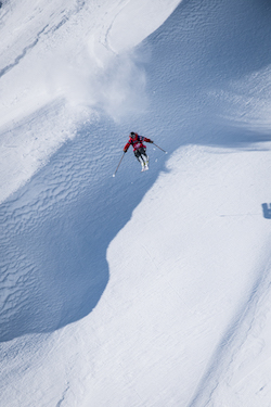 160315 FWT15 HAINES DCARLIER 9701