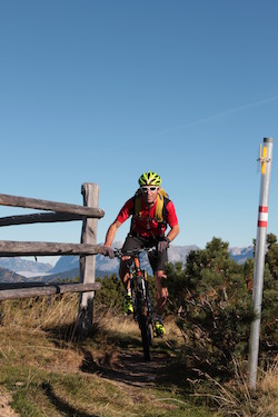 160620 Mooskopfbiker.tauernhof.flachau