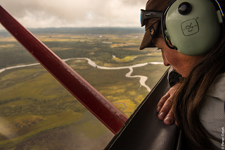 20180129 DenalisRaven