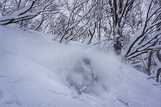 20180201 Powder Rider Birgit Ertl