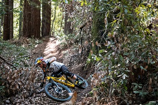 20180604 RT L1002112