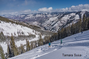 25102019 Aspne Snowflake 2 TamaraSusa