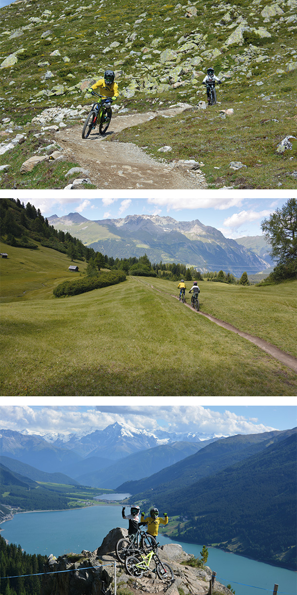 bergstolz family shred