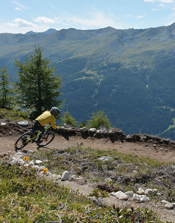 bergstolz family shred