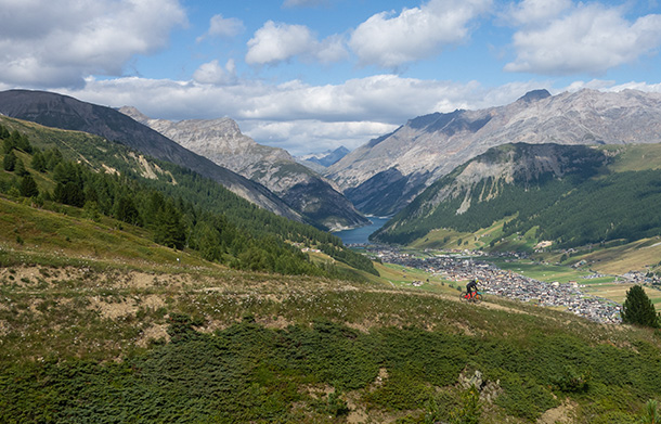 bergstolz family shred 02