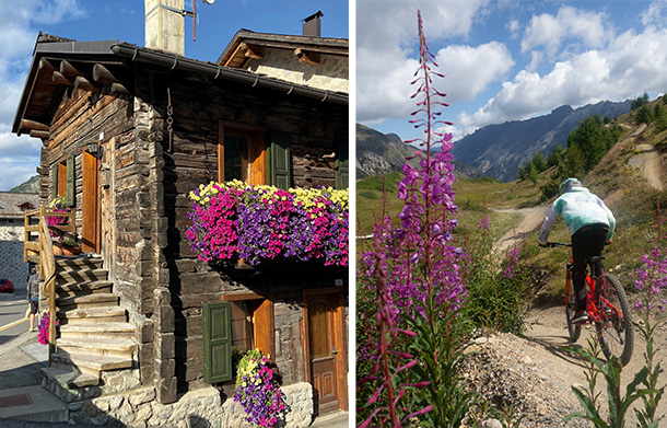 bergstolz family shred 03