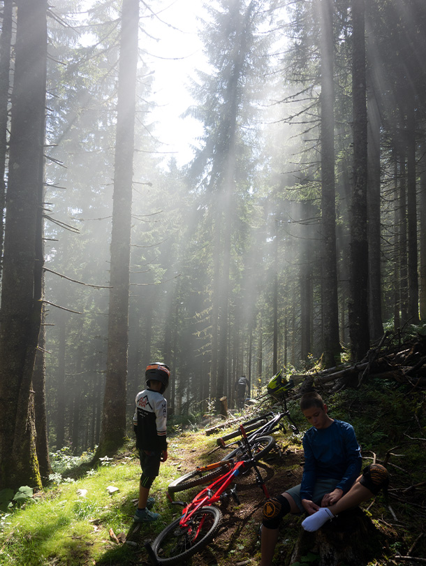 bergstolz familyshred 02