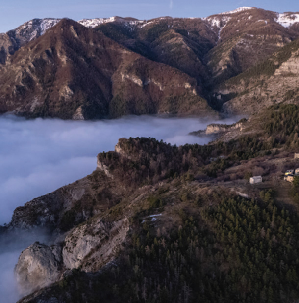 bergstolz leaving tracks