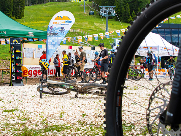 bergstolz rosadira 02