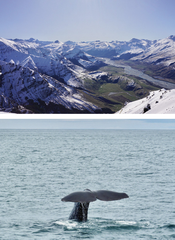 bergstolz neuseeland 02