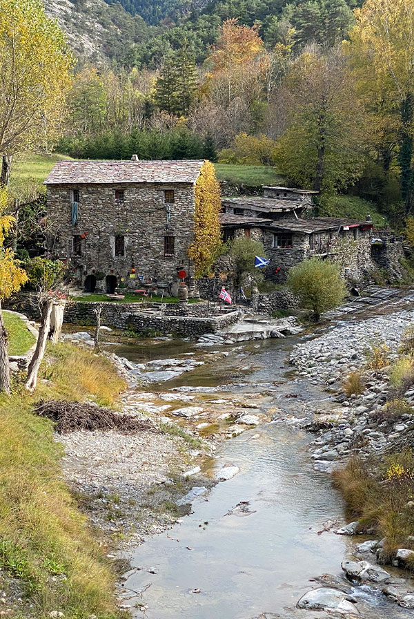 bergstolz riderprofile 05