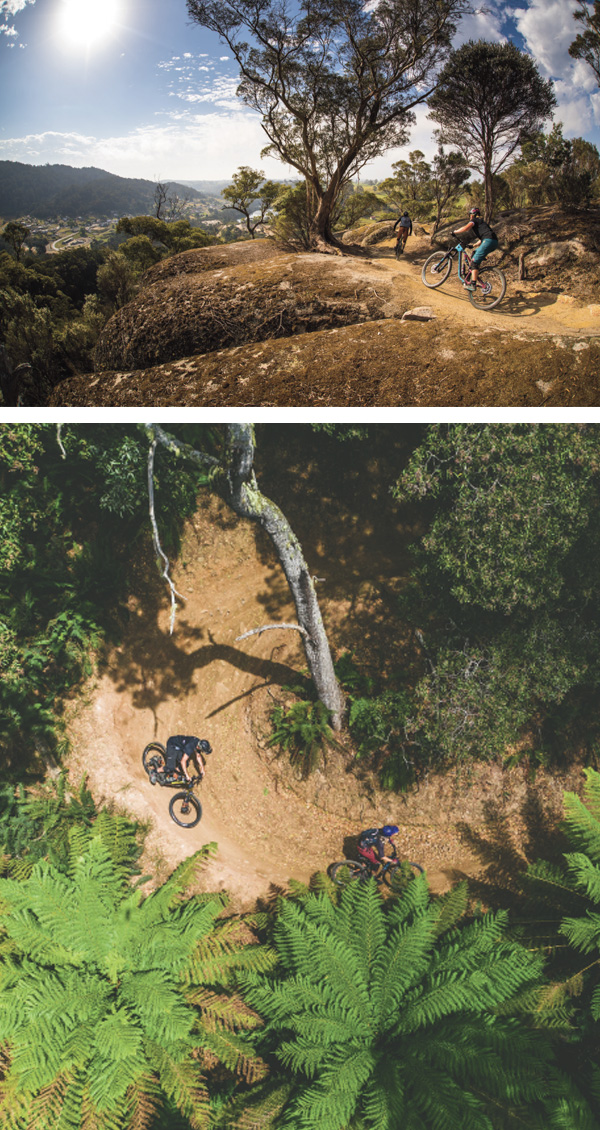 bergstolz tasmanien 02