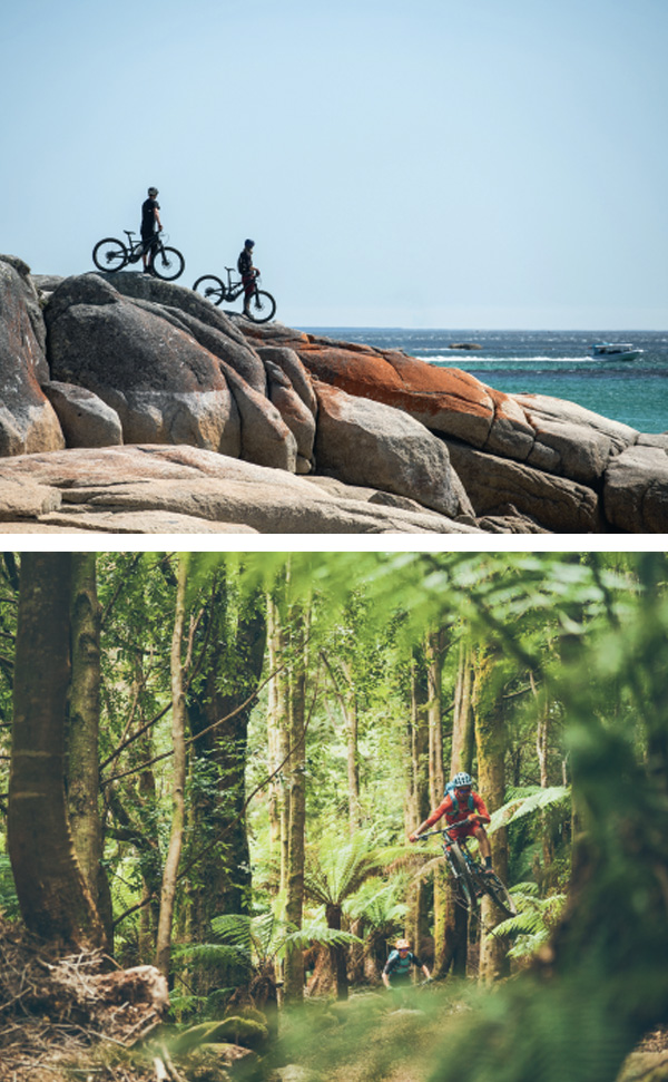 bergstolz tasmanien 03