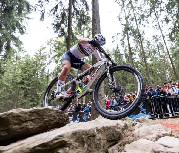 333A8440 Hoshi Yoshida