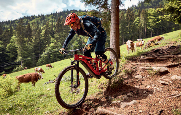 bmc speedfox amp two