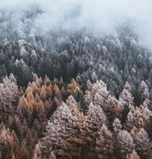 fotofolio 05 Christian Riefenberg