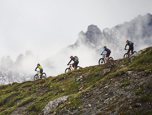 family shred arosa 02