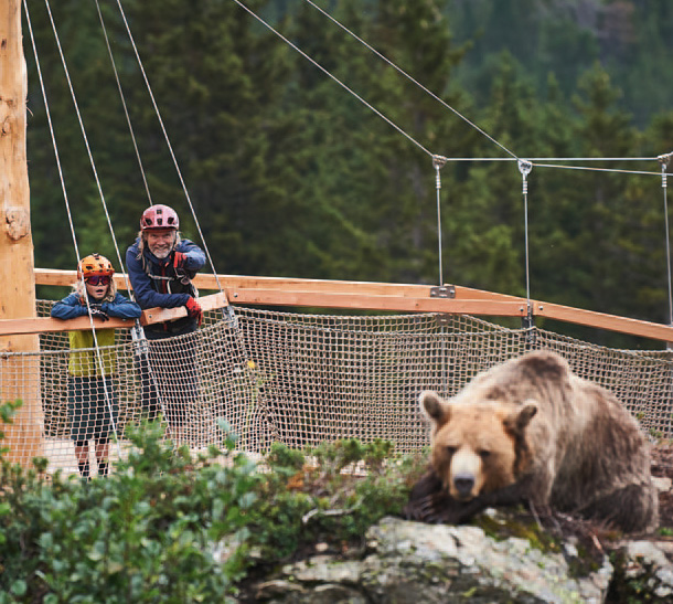 family shred arosa 04