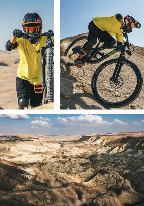 portofolio daniel bear 03 