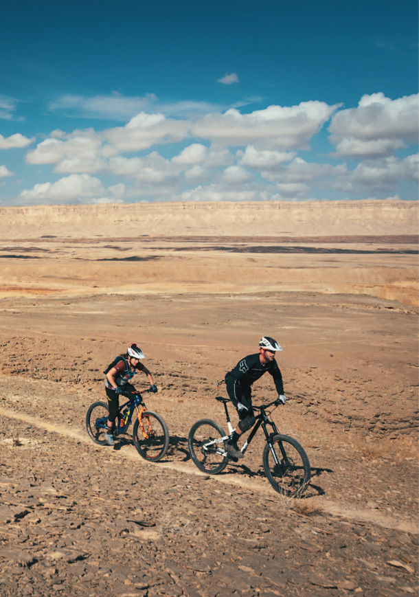 portofolio daniel bear 04