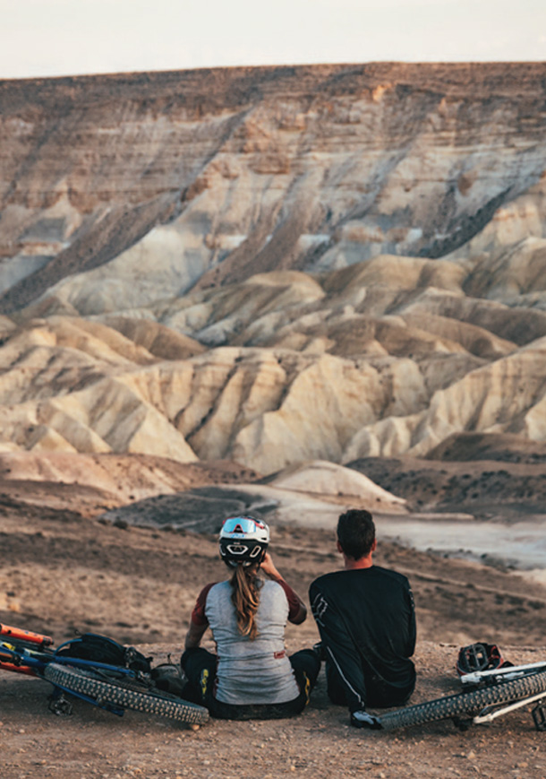 portofolio daniel bear 05