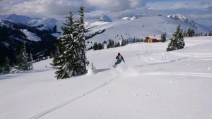 Phil Unterwegs: Resterhöhe im Gamszirkus