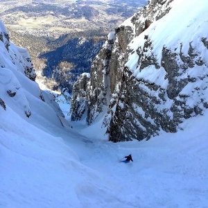 Mascht Kogler: Season Recap