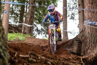 Die Sieger von heute sind die Stars von morgen