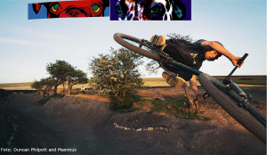 See the new Waves: The Backyard Sessions