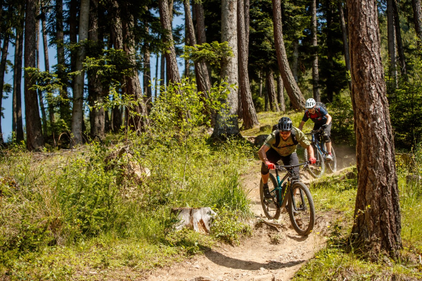 Trails S&uuml;dtirol