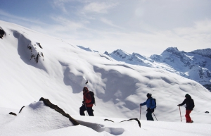 The Shadow Campaign // Snowflake