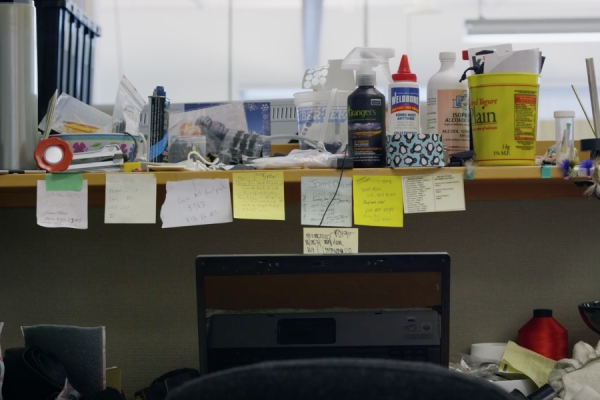 Hard work at Arc`teryx office Vancouver