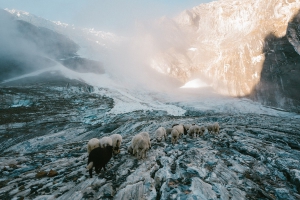 SWISSWOOL- PRODUZIERT VON DER NATUR