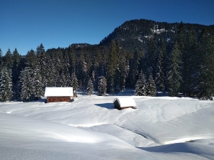 Phil Unterwegs: Große Reibm