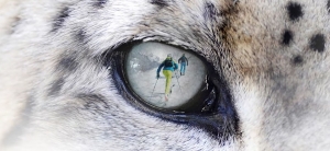 Spendenrekord beim 10. Dynafit Snow Leopard Day