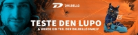 Dalbello sucht Produkttester!