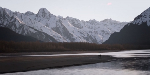 DPS The Shadow Campaign // Vol. IV