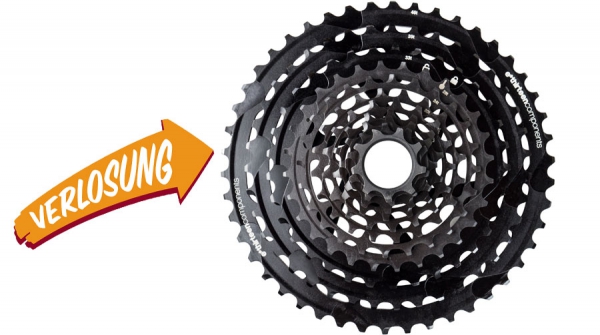 E-thirteen TRSR Kassette9-46Z