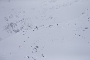 OPEN FACES UTTENDORF-WEISSE abgebrochen