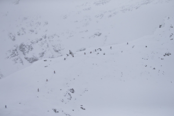 OPEN FACES UTTENDORF-WEISSE abgebrochen