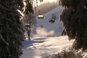 Phil unterwegs: "Auf der Steinplatte"