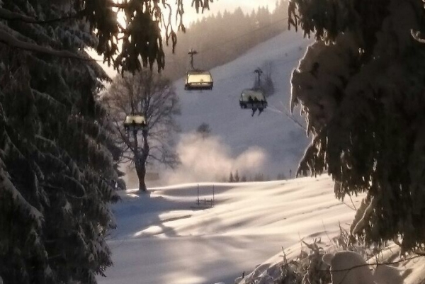 Phil unterwegs: &quot;Auf der Steinplatte&quot;