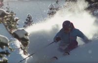 Here, There & Everywhere | Official Trailer