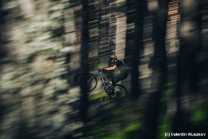 Forestal X Production Privée