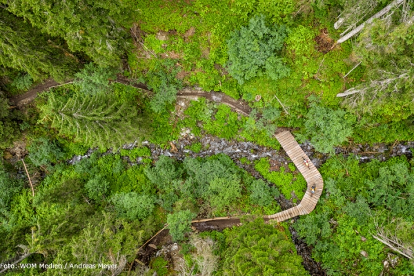 Antonius Trail - The Epic Bikepark Leogang
